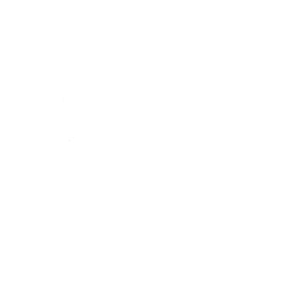 Rici86